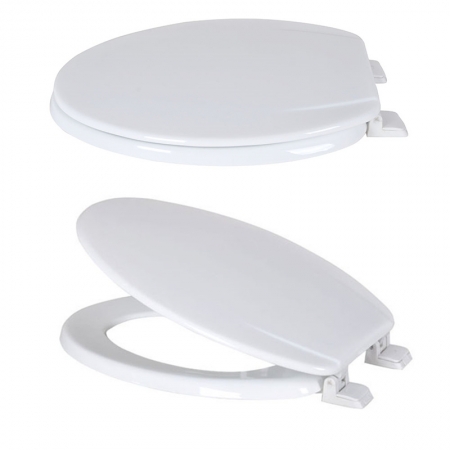 Plastic toilet seat mold